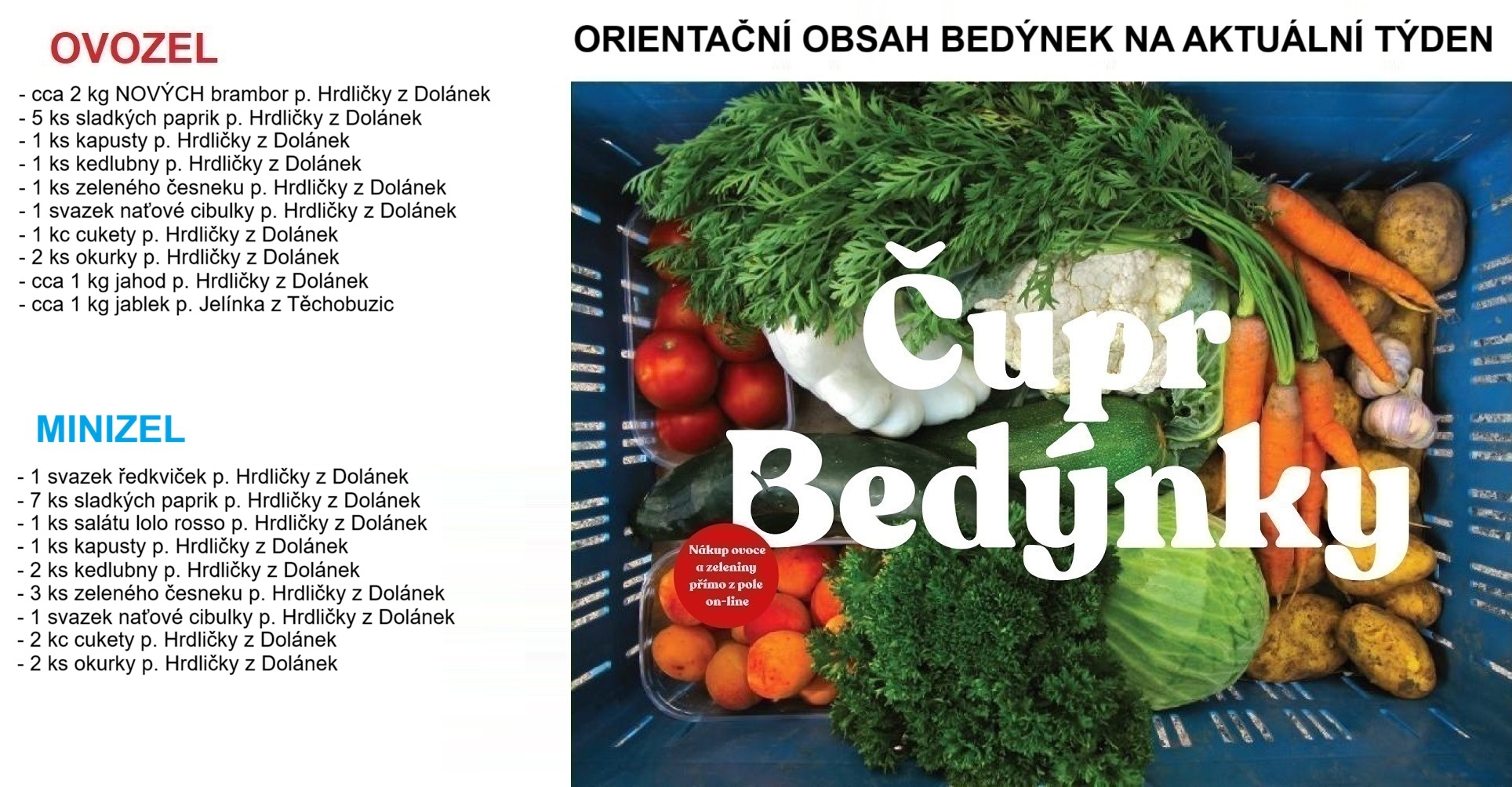 Čupr