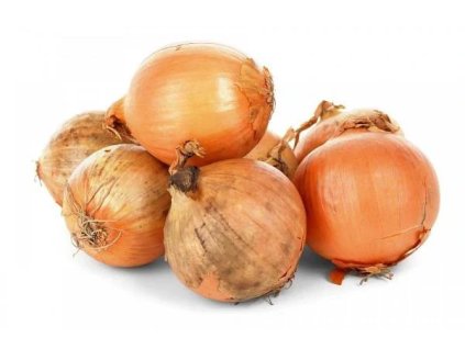 vyr 53 Cibule zluta2