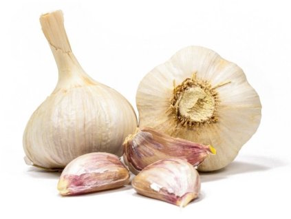 vyr 19 cesnek Dukat3