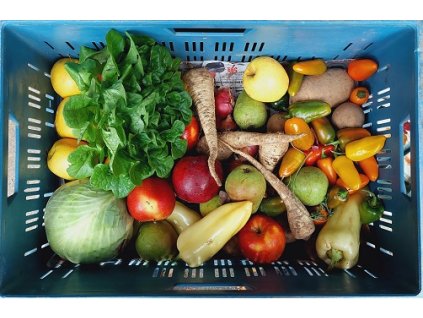 Bedýnka Zimní OVOZEL