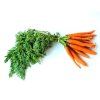 vyr 41 karotka carrots INFO 1280