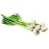 vyrp12 38zeleny cesnek eshop