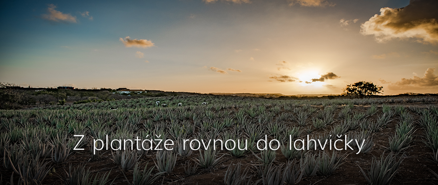 PŘÍRODNÍ PRODUKTY Z ALOE VERA