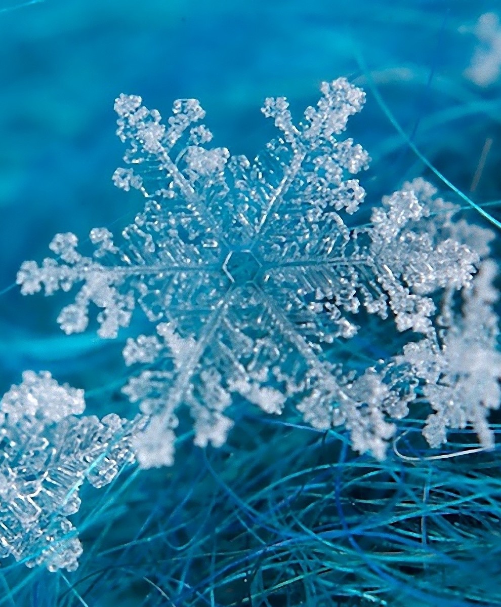 6966944-snowflakes