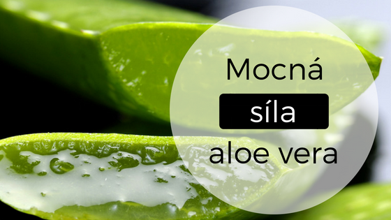 Aloe vera: Vitamínová bomba pro vlasy i pokožku hlavy