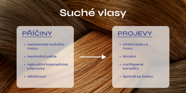 grafika_do_clanku_suche_vlasy