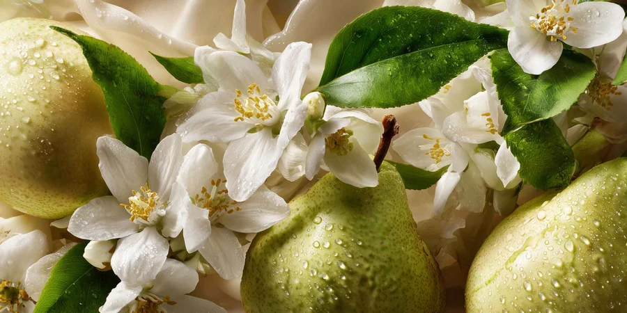 Rudy Profumi (Fruit&Juice) PEAR & JASMINE (HRUŠKA & JASMÍN)