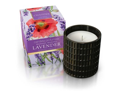 Rudy Profumi (Nature&Arome) Vonná svíčka LAVENDER, 200 g
