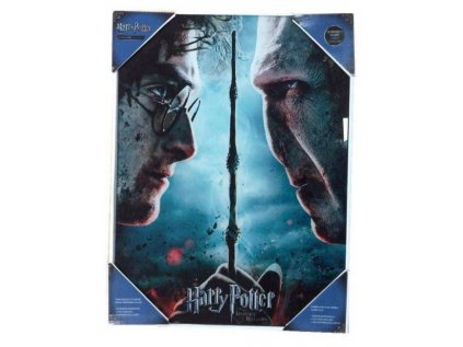 OBRAZ NA SKLE 30 x 40 cm  HARRY POTTER & VOLDEMORT