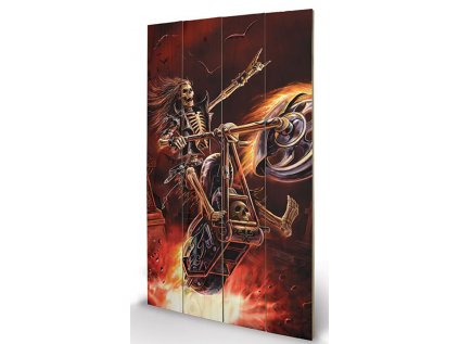 OBRAZ|MALBA NA DŘEVĚ 45 cm x 76 cm  ANNE STOKES|HELLRIDER