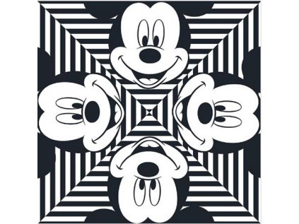 OBRAZ NA PLÁTNĚ CANVAS|40 x 40 cm  MICKEY MOUSE|STRIPE SQUARES