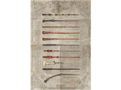 PLAKÁT 61 x 91,5 cm|HARRY POTTER  THE WAND CHOOSES THE WIZARD