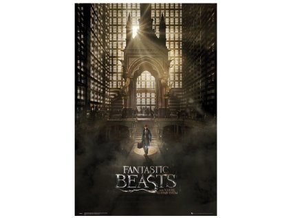 PLAKÁT 61 x 91,5 cm|FANTASTIC BEAST  ONE SHEET 1|C