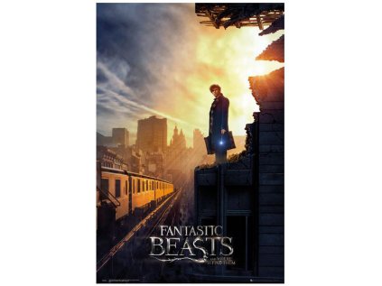 PLAKÁT 61 x 91,5 cm|FANTASTIC BEAST  ONE SHEET 2|C