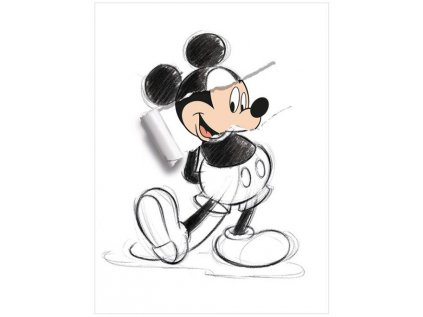 OBRAZ NA PLÁTNĚ CANVAS|60 x 80 cm  MICKEY MOUSE|TORN SKETCH