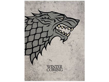 OBRAZ NA PLÁTNĚ CANVAS|60 x 80 cm  GAME OF THRONES|STARK