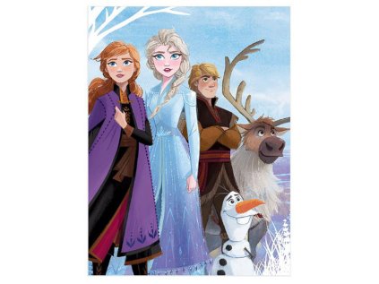 OBRAZ NA PLÁTNĚ CANVAS|60 x 80 cm  DISNEY|FROZEN II|STRONGER TOGETHER