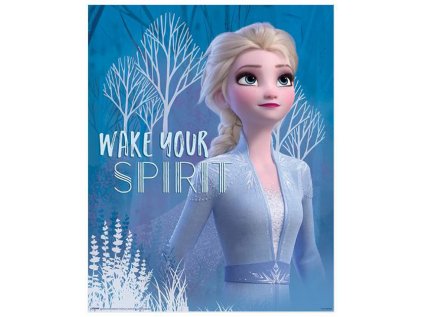 PLAKÁT 40 x 50 cm|DISNEY  FROZEN II|WAKE YOUR SPIRIT ELSA