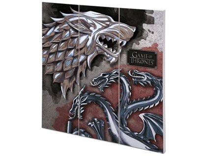 OBRAZ|MALBA NA DŘEVĚ 30 cm x 30 cm  GAME OF THRONES|STARK & TARGARYEN