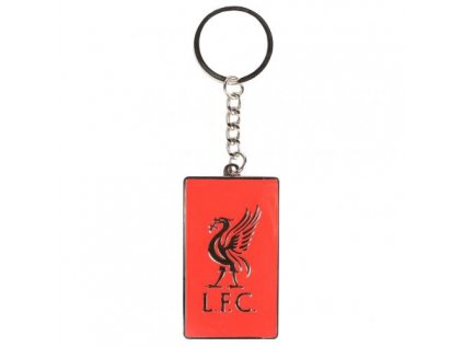 PŘÍVĚSEK NA KLÍČE|LIVERPOOL FC  LIVERBIRD|VZOR SS|6 x 4 cm