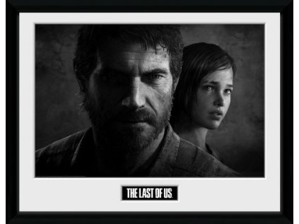 PLAKÁT V RÁMU 30 x 40 cm  THE LAST OF US II|BLACK AND WHITE