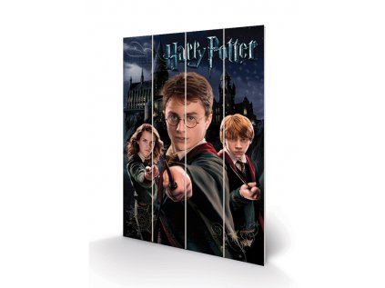 OBRAZ|MALBA NA DŘEVĚ 40 cm x 59 cm  HARRY POTTER|HARRY & RON & HERMIONE