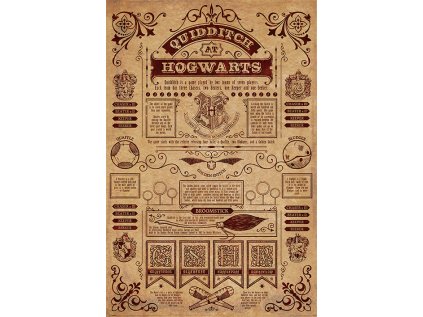 PLAKÁT 61 x 91,5 cm|HARRY POTTER  QUIDDITCH AT HOGWARTS