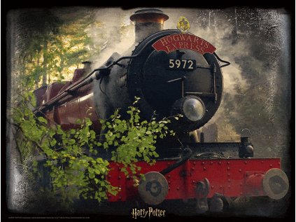 PUZZLE 3D OBRAZ|HARRY POTTER  500 KUSŮ|HOGWARTS EXPRESS