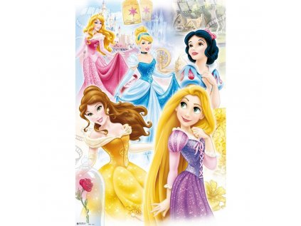 PLAKÁT 61 x 91,5 cm|DISNEY  PRINCESS GROUP