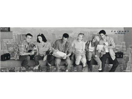 PLAKÁT 53 x 158 cm|FRIENDS  SKYSCRAPER