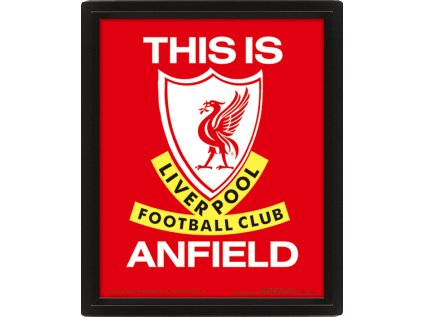 OBRÁZEK 3D|26 x 20 cm|LIVERPOOL FC  THIS IS ANFIELD