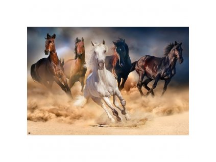 PLAKÁT 61 x 91,5 cm  FIVE HORSES