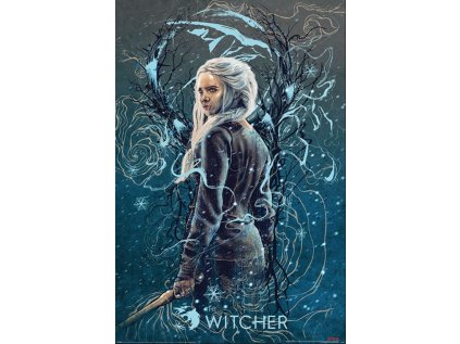 PLAKÁT 61 x 91,5 cm|THE WITCHER  CIRI THE SWALLOW