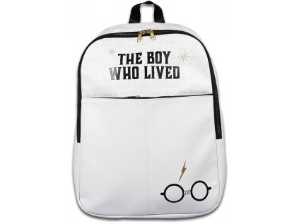 BATOH|HARRY POTTER  BOY WHO LIVED|38 x 31 x 10 cm