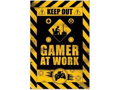 PLAKÁT 61 x 91,5 cm|GAMERATION  GAMER AT WORK