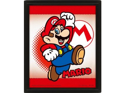 OBRÁZEK 3D|26 x 20 cm  SUPER MARIO|MARIO YOSHI FLIP