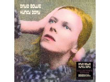 KALENDÁŘ 2025|HUDBA  DAVID BOWIE (30,5 x 30,5 cm) SQ