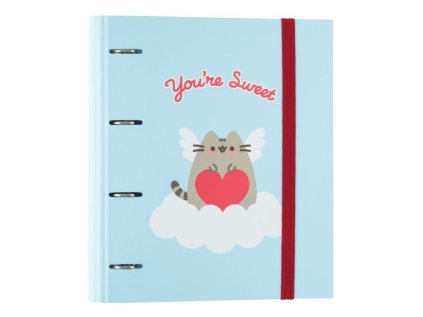 KROUŽKOVÝ POŘADAČ|PUSHEEN  CAT IN LOVE|28 x 32 x 7 cm