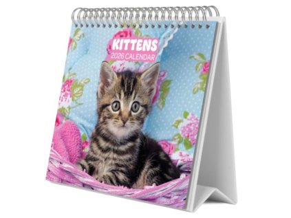 KALENDÁŘ 2026 STOLNÍ|ZVÍŘATA  KITTENS (20 x 17 cm)