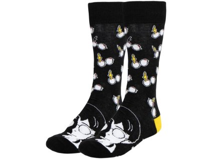 PONOŽKY PÁNSKÉ|HARRY POTTER  GLASSES|VELIKOST (EU 38-45)