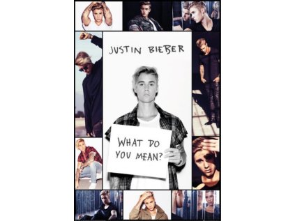 PLAKÁT 61 x 91,5 cm|JUSTIN BIEBER  WHAT DO YOU MEAN