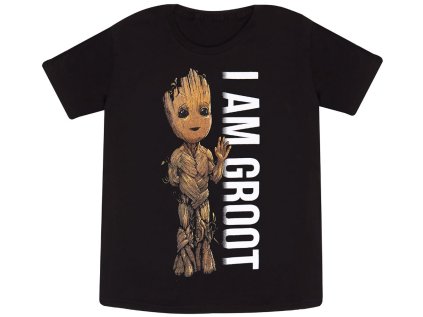 TRIČKO DĚTSKÉ|MARVEL (Výška/Věk 5-6 let)