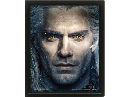 OBRÁZEK 3D|26 x 20 cm  THE WITCHER|CIRI