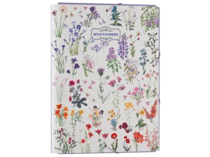 SLOŽKA A4|WILD FLOWERS  TYPES OF FLOWERS|3 KLOPY