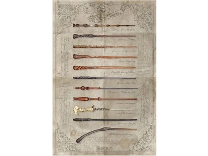 PLAKÁT 61 x 91,5 cm|HARRY POTTER  THE WAND CHOOSES THE WIZARD