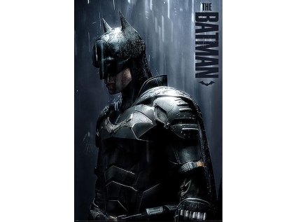 PLAKÁT 61 x 91,5 cm|DC COMICS  BATMAN|DOWNPOUR
