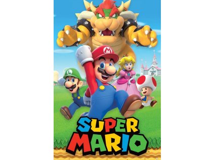 PLAKÁT 61 x 91,5 cm|SUPER MARIO  CHARACTER MONTAGE