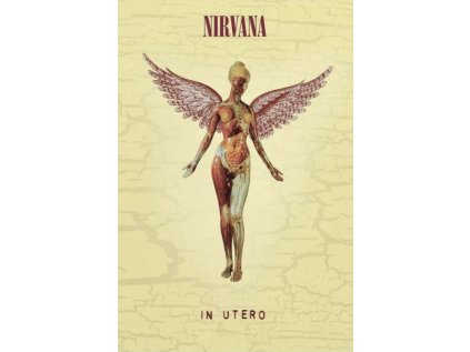 PLAKÁT 61 x 91,5 cm  NIRVANA|IN UTERO