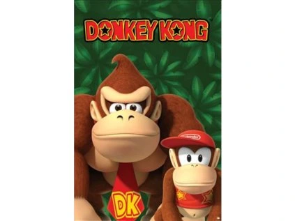 PLAKÁT 61 x 91,5 cm|NINTENDO  DONKEY KONG AND DIDDY KONG