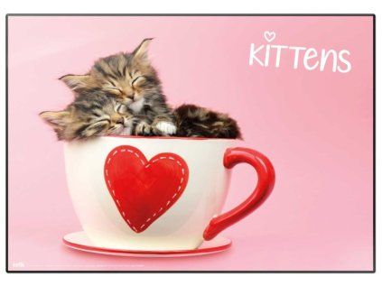 PODLOŽKA NA STŮL|STUDIO PETS  KITTENS IN CUP|49,5 x 34,5 cm